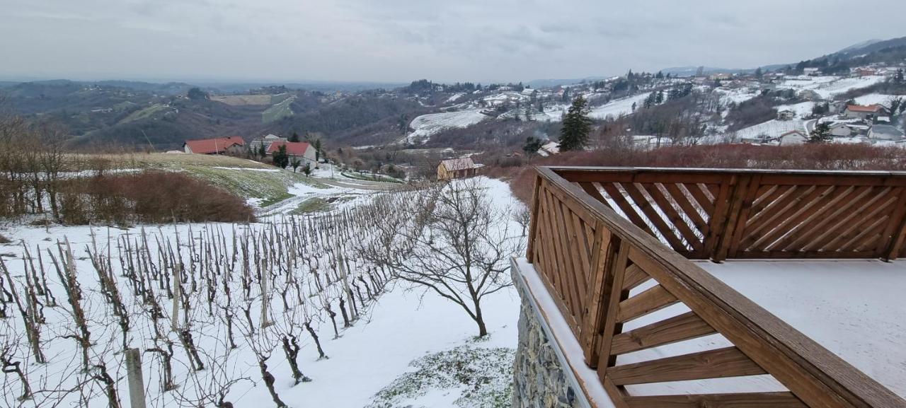 Wine Panorama House Villa ยาสเตรบาร์สโก ภายนอก รูปภาพ